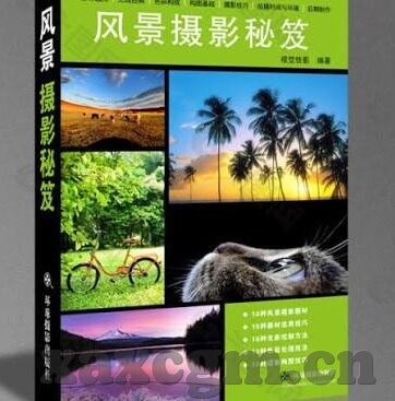 成人午夜视频在线观看-成人午夜视频在线观看，理性审视与自我保护