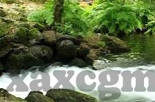 日韩无毒av图片大全-探索日韩AV图片的审美与文化差异